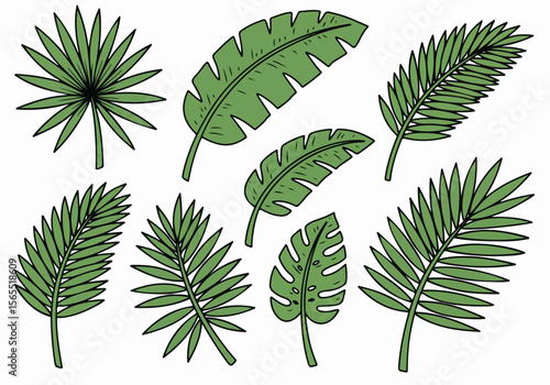 Hand drawn set of green tropical leaves illustration