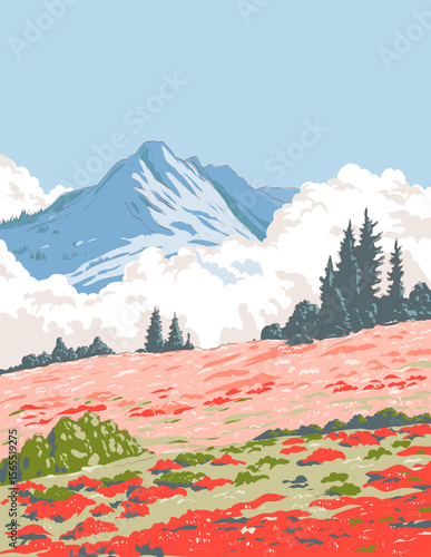 WPA style ukiyo-e or ukiyo illustration of the Cascade Pass and Pelton Basin in North Cascades National Park Washington State, USA done in retro style.