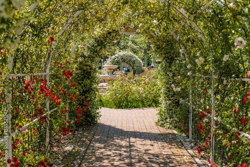 An arch of flowers and roses in a green blooming garden