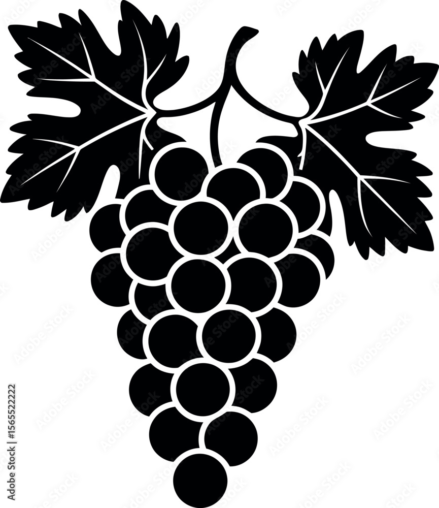 Fototapeta premium bunch of grapes