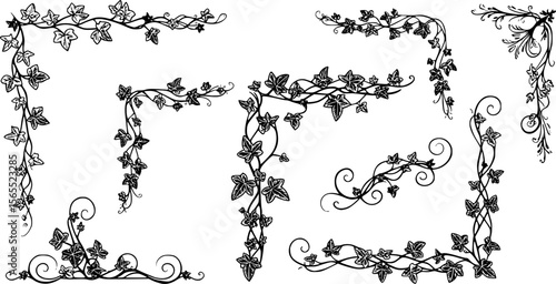 Black & White Ivy Vine Vector Graphics: Corner Design Elements, Floral Swirls, Decorative Plant Illustrations for Scrapbooking & Crafts
