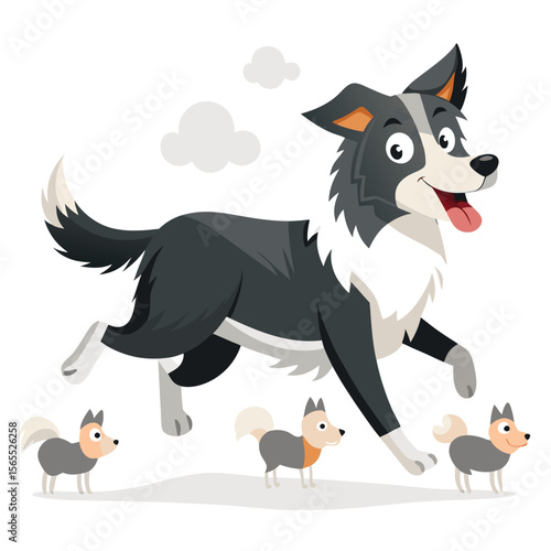A playful Border Collie pretending to herd invisible sheep, showcasing its intelligence and instincts.