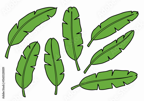 Cartoon green banana leaves illustration pattern on white background. Simple tropical foliage design element collection.