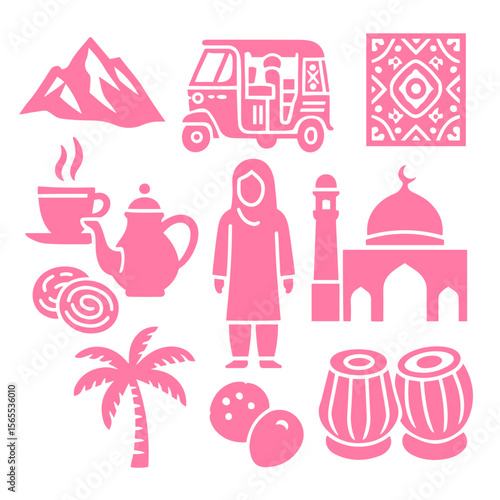 vector isolated pink color pakistan traditional cultural symbols