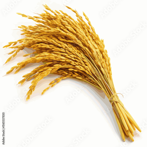 A vector of golden paddy design Art & Illustration