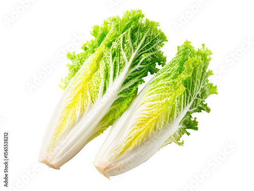 Two fresh green and white napa cabbages isolated on black background, Isolated On Transparent Background, Png