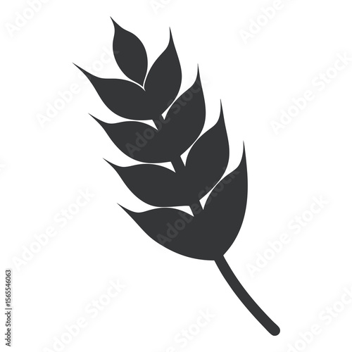Silhouette image of wheat seeds