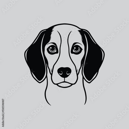 Clean Black and White Beagle Head