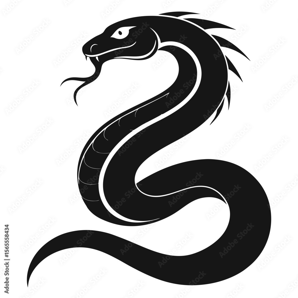 Fototapeta premium black and white snake