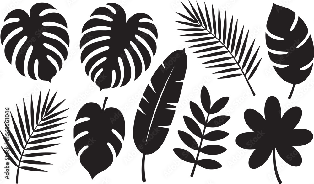 Fototapeta premium Monstera palm banana and clover leaves monstera leaves palm fronds