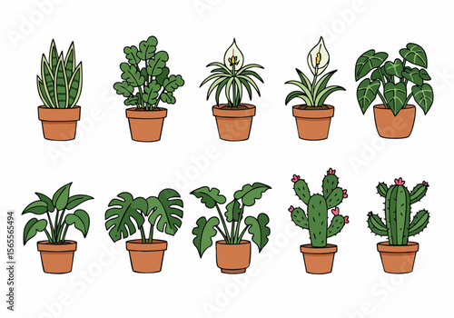 Set of various potted house plants illustration including snake plant, monstera, peace lily, and cactus.