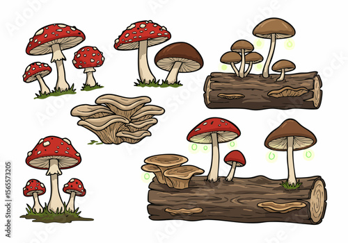 Set of colorful cartoon mushroom illustrations, including fly agaric, oyster mushrooms, and fungi growing on logs