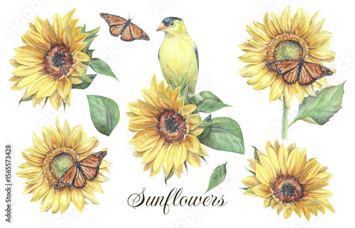 Set of watercolor sunflowers, bird and butterflies