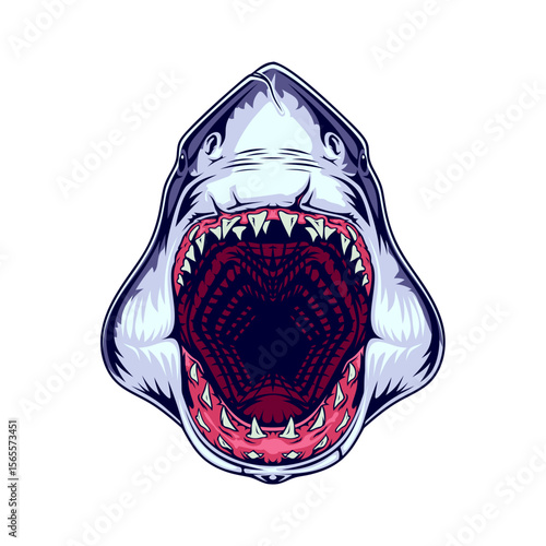 Aggressive Great White Shark with Open Jaws