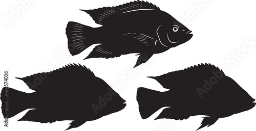 Tilapia fish icon silhouette vector illustration