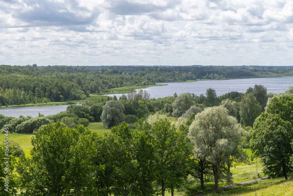 Naklejka premium Wide River Flowing through Forest Landscape with Green Trees and Summer Sky – Peaceful Nature and Ecology Concept