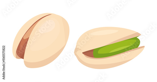 Pistacja ilustracja