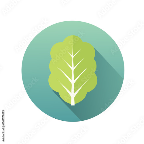 Lettuce Food Icon Isolated on a Transparent Background 