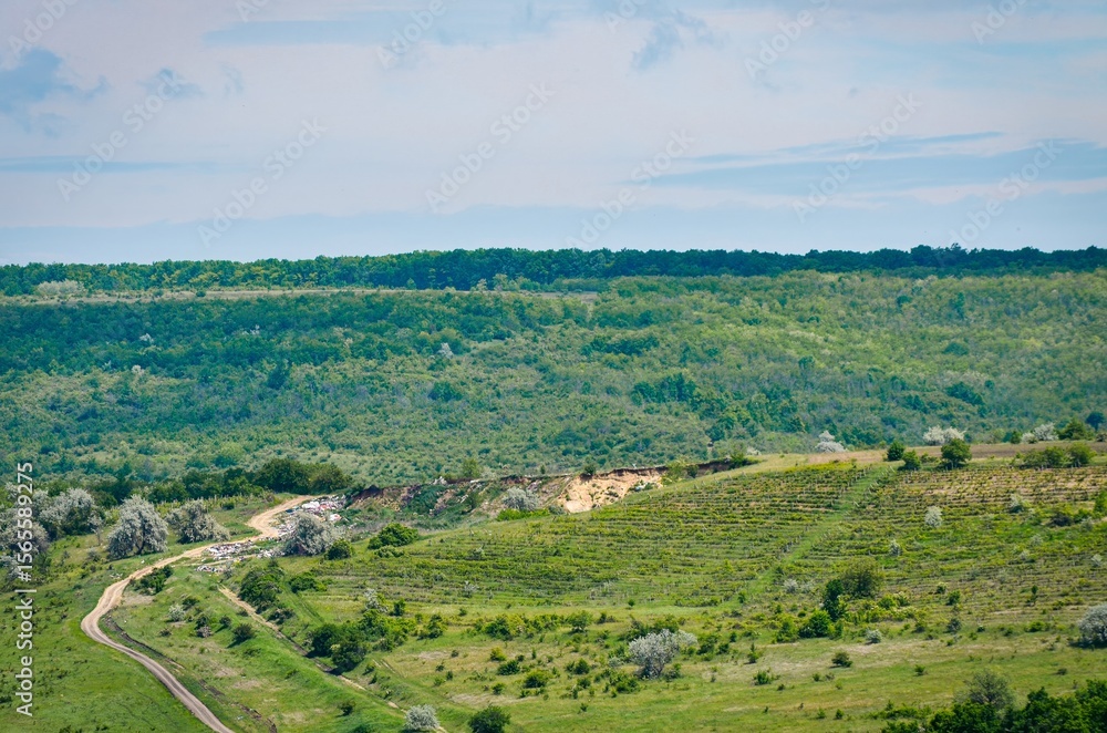 A large, open field with a dirt road running through it. The road is surrounded by trees and grass, and there are a few cows grazing in the distance. The scene is peaceful and serene A large, open field with a dirt road running through it. The road is surrounded by trees and grass, and there are a few cows grazing in the distance. The scene is peaceful and serene