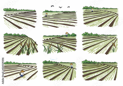 Simple illustrations depict scenes of rice paddies, showcasing the rural agriculture landscape and the work of farmers in the field.