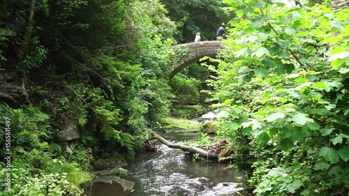 Jesmond Dene