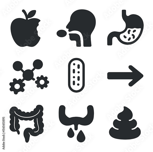 Food Digestion Icons. Solid, filled icons set of food journey through digestion: bitten apple, swallowed food,