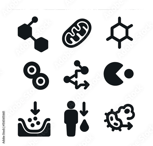 Cellular Energy Icons. Solid, filled icons set of cellular energy and metabolism: ATP molecule, mitochondria,