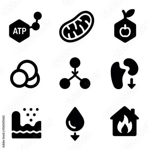Cellular Energy Icons. Solid, filled icons set of cellular energy and metabolism: ATP molecule, mitochondria,