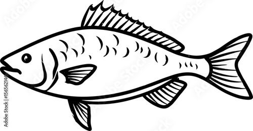Black and white illustration of a freshwater fish swimming  