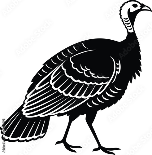 Detailed black and white illustration of a wild turkey in profile showcasing its plumage and distinctive head features silhouette .eps