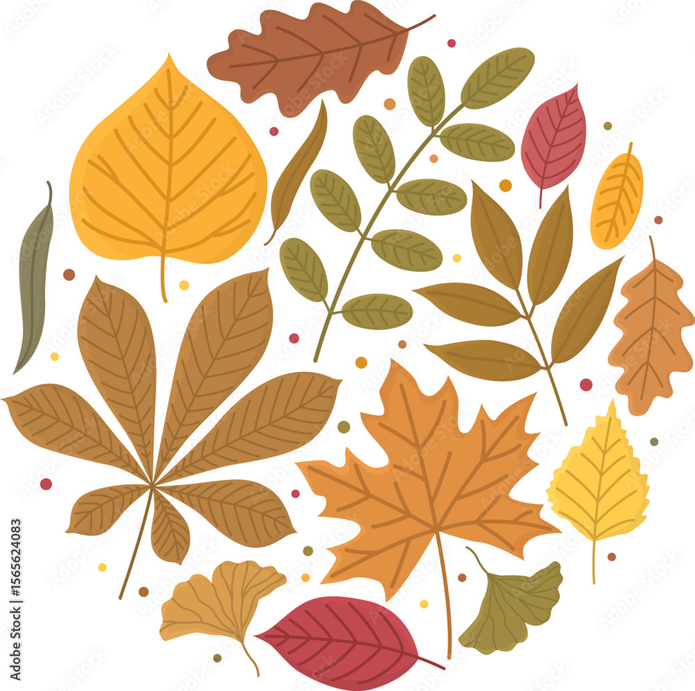 Obraz premium Round composition with colorful autumn leaves. Fall foliage illustration isolated on white background