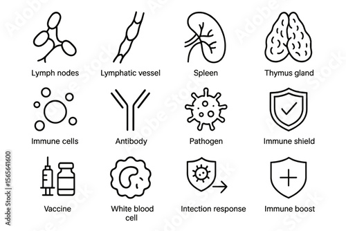 Human immune system anatomy icons: cells, organs, pathogens, antibody, shield