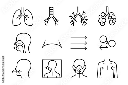 Respiratory system symbols illustrating breathing and lung functions