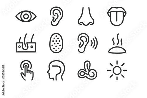 Icons depicting human senses - sight, hearing, smell, taste, touch
