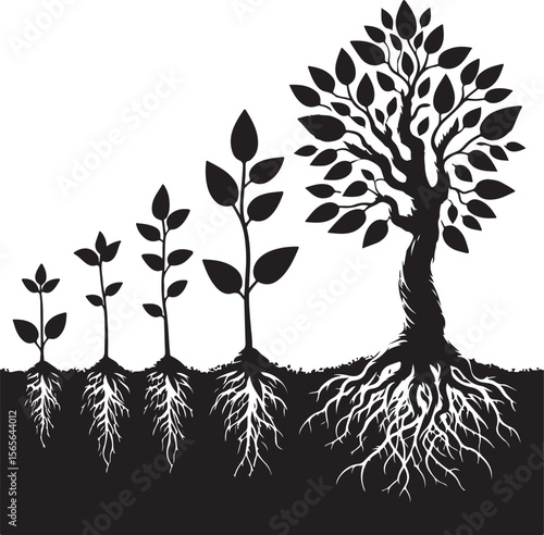 Tree Growth Silhouette – From Seedling to Mature Tree Minimal Vector