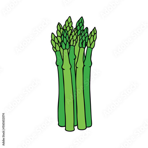 Minimal asparagus bunch in clean flat layout Vector illustration