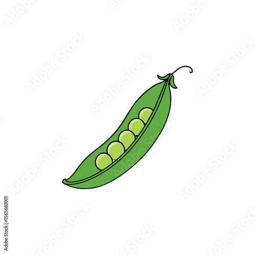 Fresh snow peas pod open with peas shown in flat style Vector illustration