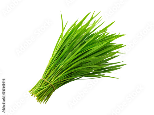 Fresh green wheatgrass bundle isolated on black background, Isolated On Transparent Background, Png