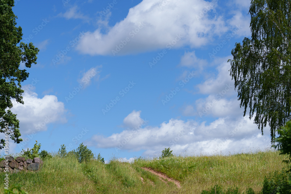 Obraz premium green grass and blue sky