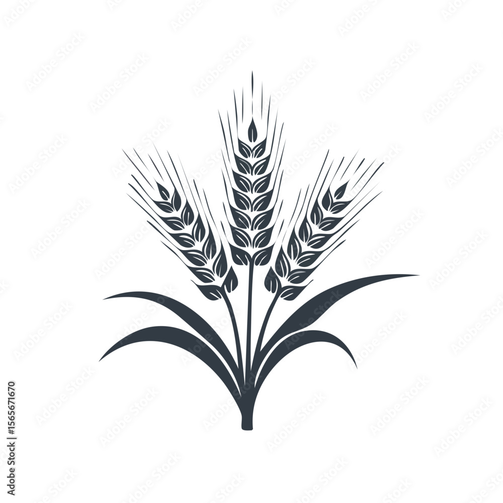 Dark wheat illustration, ears of grain on black background, harvest design element for agriculture and nutrition themes Dark wheat illustration, ears of grain on black background, harvest design element for agriculture and nutrition themes
