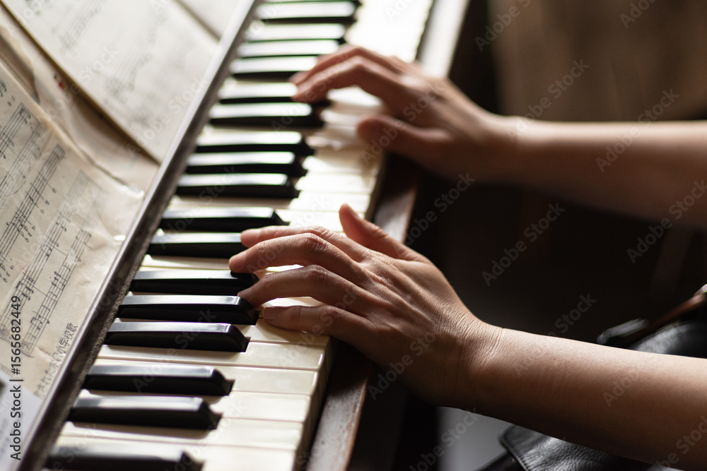 Obraz premium ピアノを弾く
