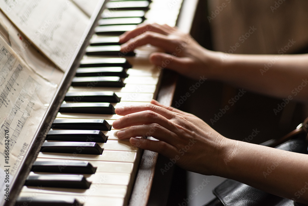 Obraz premium ピアノを弾く