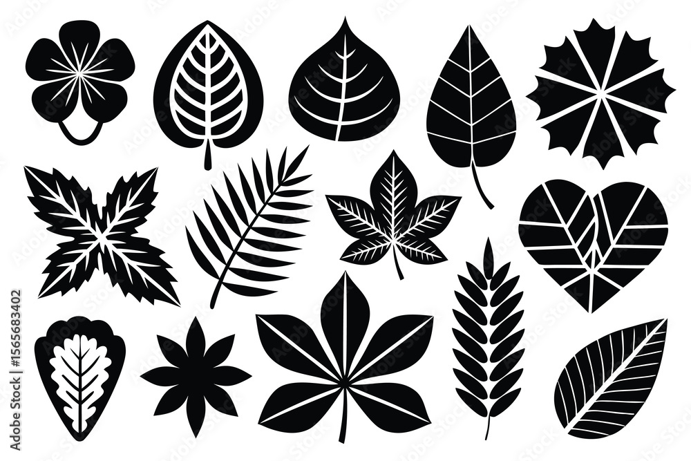 Fototapeta premium Leaf silhouettes, vector collection, diverse leaves shapes, nature elements. Ideal for eco friendly brand aesthetics, botanical illustrations, educational materials, artistic designs, decorations.