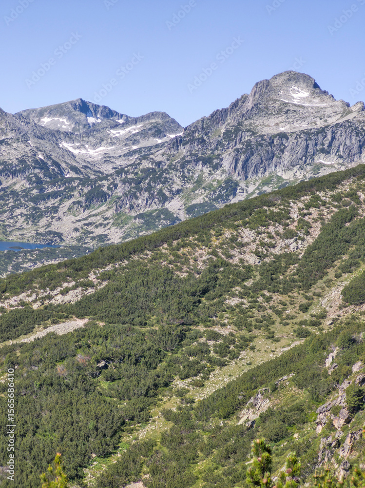 Naklejka premium Summer landscape of Pirin Mountain near Popovo Lake, Bulgaria