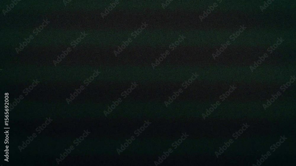 Mix of different Analog Static Noise texture overlay. VHS Glitch. Bad TV signal. CRT transitions. Horizontal stripes offset .