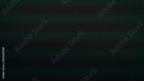 Mix of different Analog Static Noise texture overlay. VHS Glitch. Bad TV signal. CRT transitions. Horizontal stripes offset .