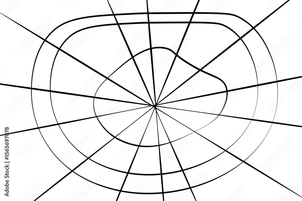 Obraz premium Realistic vector illustration of a spider web on a solid white background. The web is intricate and symmetrical.