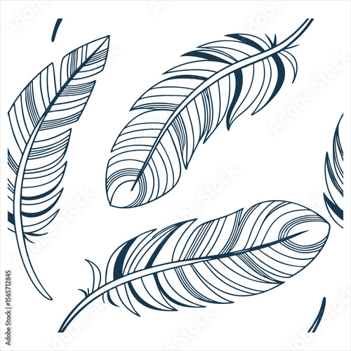 set of feathers vector