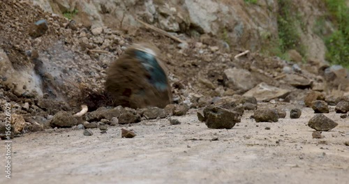 Massive Rock Falling from Mountain During Landslide – 4K Slow Motion