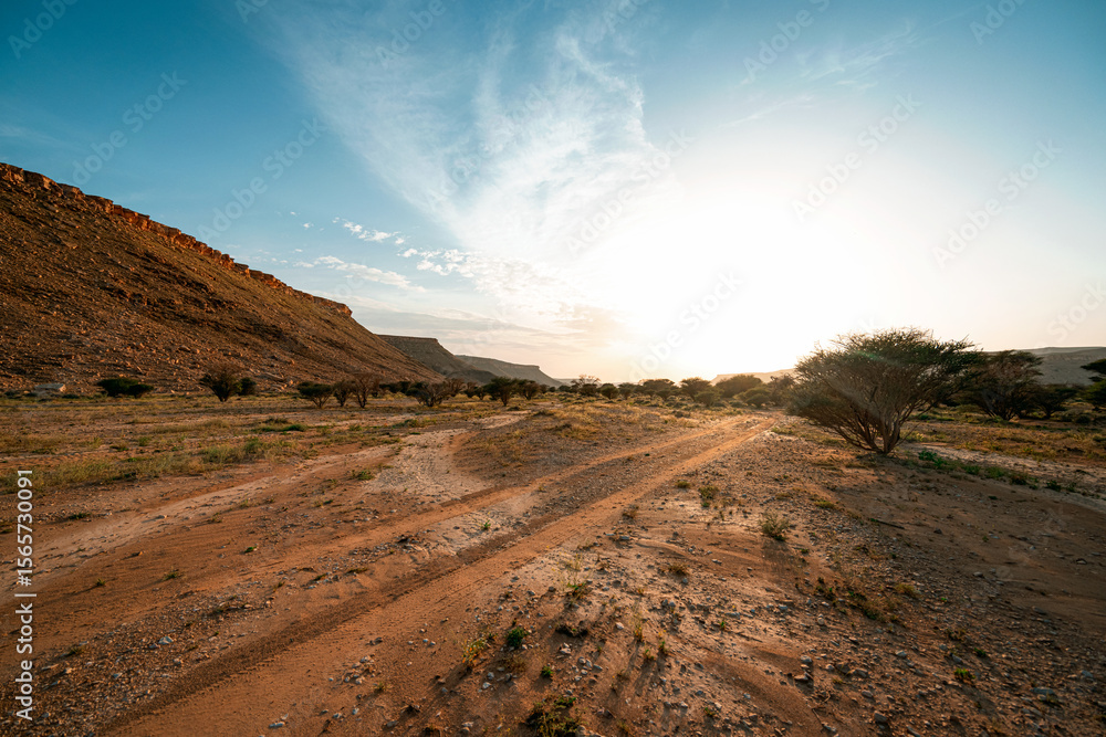 Fototapeta premium The Ibex Reserve in�Hotat Bani Tamim